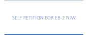 do eb2niw project review