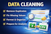 clean, format and preprocess your dataset for analysis
