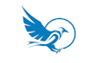 design southwest tech ravens logo