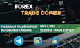 setup telegram signal copier trade copier to mt4, mt5, ctrader and ninjatrader