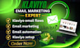 do klaviyo email marketing, klaviyo flows klaviyo setup and email automation