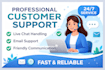 handle customer support chat and email professionally