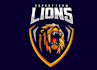 make high quality lion logo in express delivery
