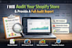 do a professional shopify store audit, SEO and conversion issue