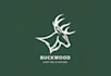create modern minimalist logo design with creative typography