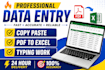 do fast data entry, copy paste ,PDF to word and excel