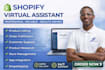 be your shopify virtual expert assistant