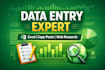 be your data entry expert in excel and ms office