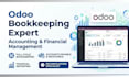 provide expert odoo bookkeeping and financial accounting