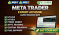 program expert advisor, forex eas, indicator, mt4 eas, mt5 eas, trading bot, mql