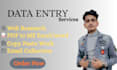 do data entry, internet research and data analysis