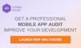 provide a professional mobile app development audit
