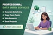 do accurate data entry, excel work