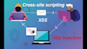 do an expert web security fix XSS, sql injection, malware, botnet