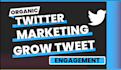 professionally do twitter x marketing
