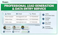 do accurate data entry,copy paste and excel work
