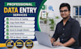 do accurate data entry,copy paste,excel data entry and web research