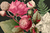 draw elegant botanical art for prints, branding, or decor