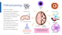 create professional health related presentations