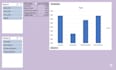 provide python powered data cleaning and executive dashboards