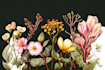 create detailed botanical illustrations and plant art