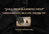 write java programs fix bugs and help with assignments