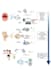 analyze and explain your spectroscopy data as raman, sers, ftir, cars, using ai