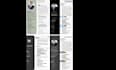 design a professional CV