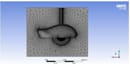 create quality cfd mesh with inflation layers using ansys