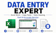 excel data entry and data cleaning