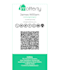 design a professional interactive digital business card and mini website
