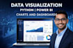 professional dashboards and data visualization using python and po