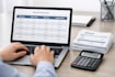 provide UK payroll and paye administrative support
