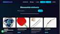 build web services with backend and basic frontend