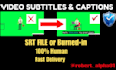 add accurate english captions, srt or vtt file in 24h