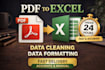 convert PDF to excel with professional data formatting