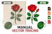 vector tracing and convert image or logo to vector files