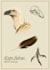 do scientific illustrations animals and zoology