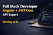 develop full stack web app with angular and dotnet