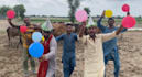 african happy birthday or happy birthday video