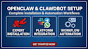 install and setup openclaw ai automation professionally