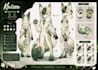 furry reference sheet furry ref sheet fursona anthro oc nsfw character sheet
