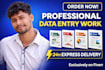 provide fast and reliable data entry services