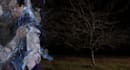 do vfx shockwave, explosion, spark, fire, smoke, magic, etc