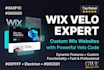 create advanced wix website with velo coding and dynamic pages