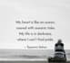 create beautiful inspirational,love,sad quotes and poems