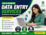 do fast and accurate data entry and excel work