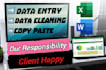 data entry, data cleaning, excel data entry, copy paste