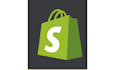 professional shopify store for you
