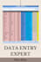 do fast and accurate data entry in excel